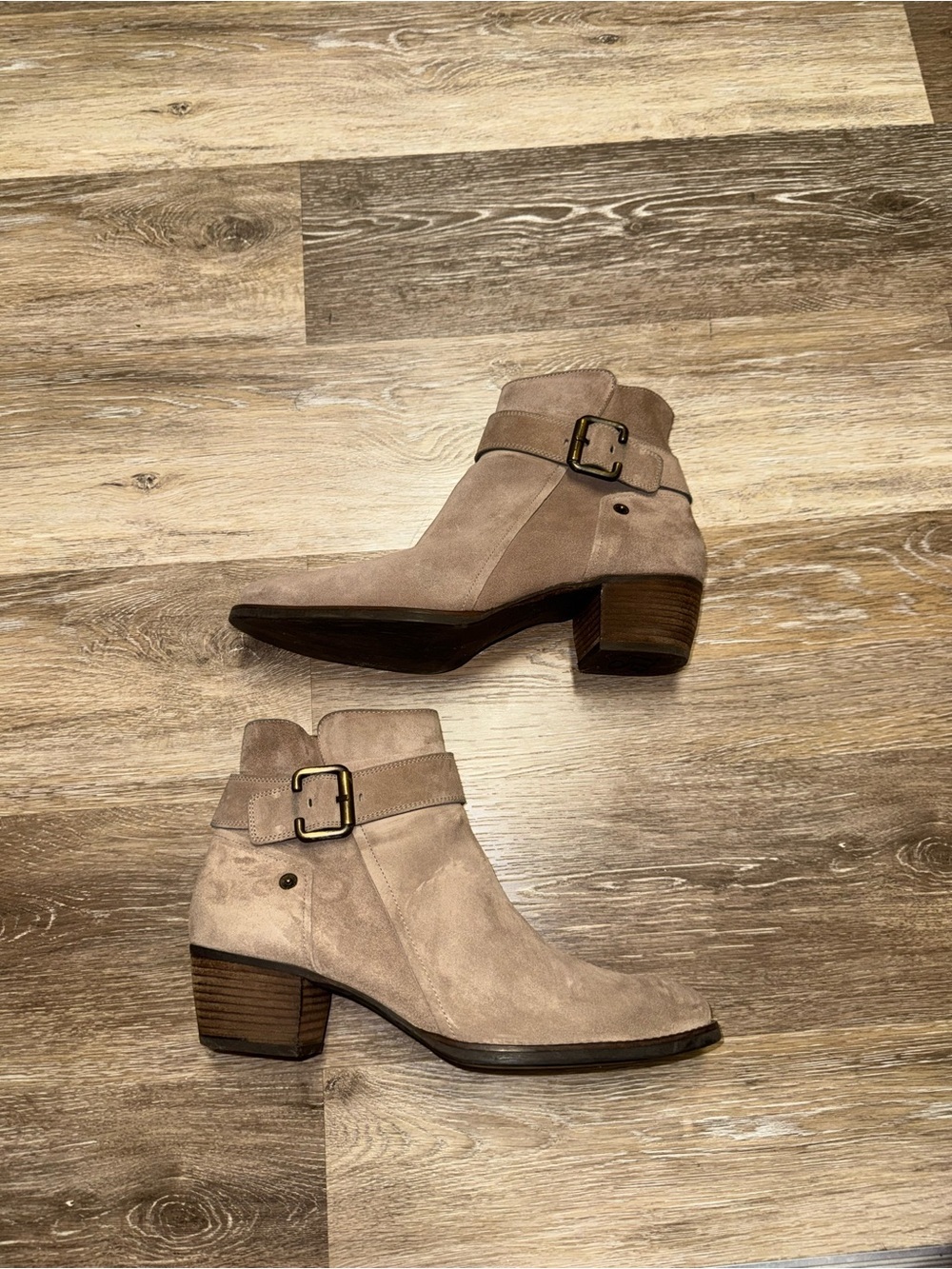 Paul green moto booties - Picture 4 of 13